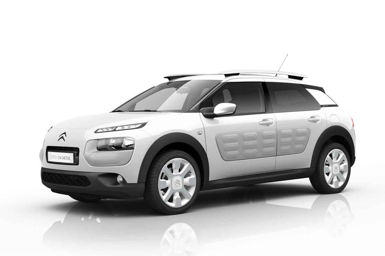 C4 Cactus