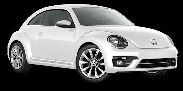 Coccinelle
